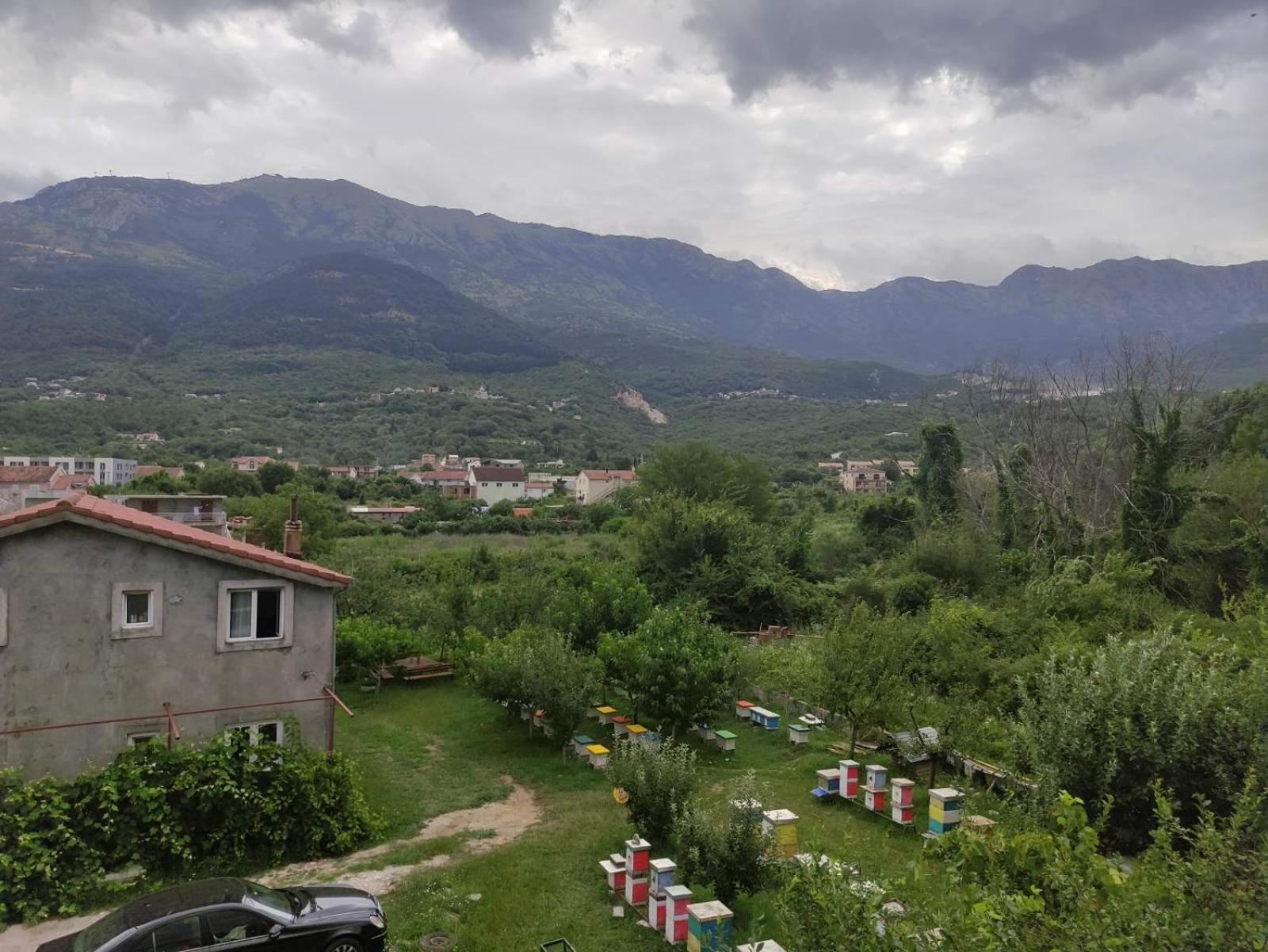 Green Valley Kotor Eksteriør billede