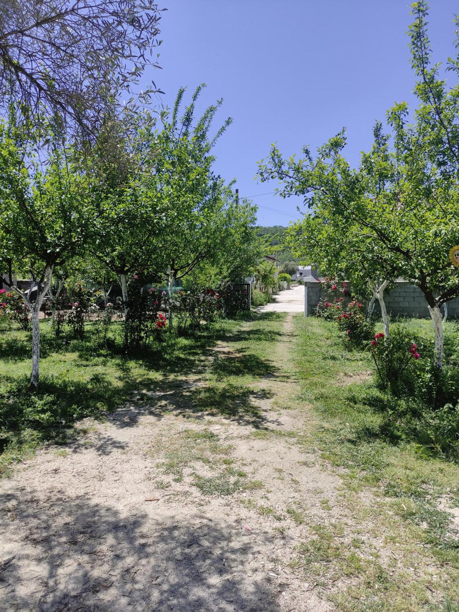 Green Valley Kotor Eksteriør billede